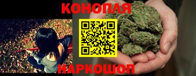спиды Волгодонск