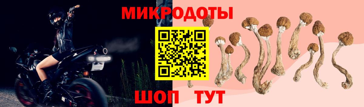 Галлюциногенные грибы MAGIC MUSHROOMS Тобольск